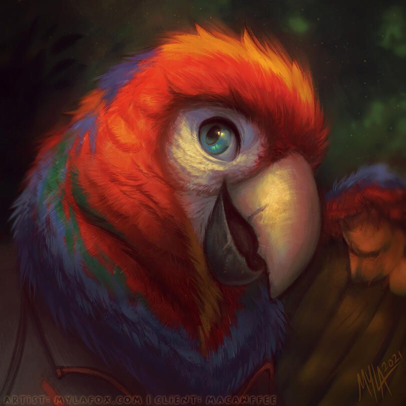 © MylaFox. All rights reserved.